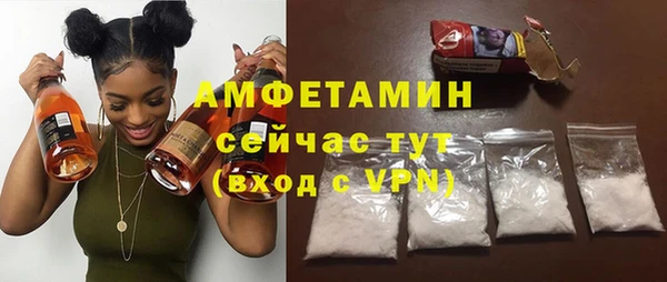 крисы Бронницы