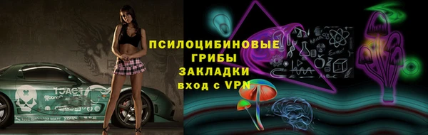 индика Бугульма