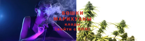 индика Бугульма