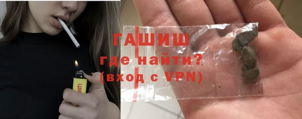 гидра Богородск