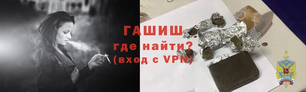 гидра Богородск