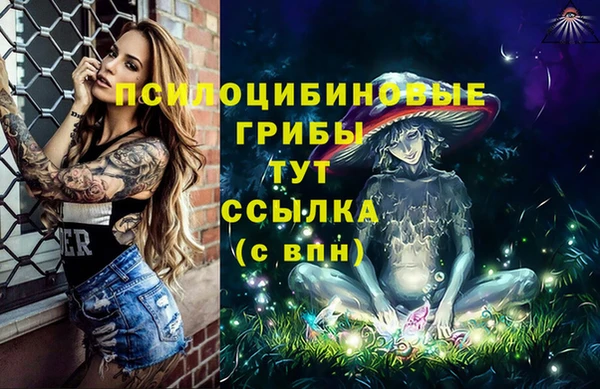 МДМА Бородино