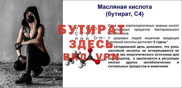 гидра Богородск