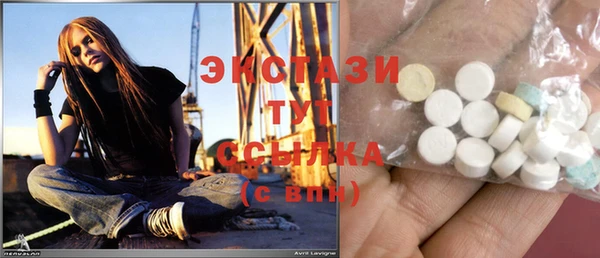 гидра Богородск