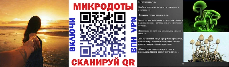 Галлюциногенные грибы MAGIC MUSHROOMS  мориарти клад  Высоковск 