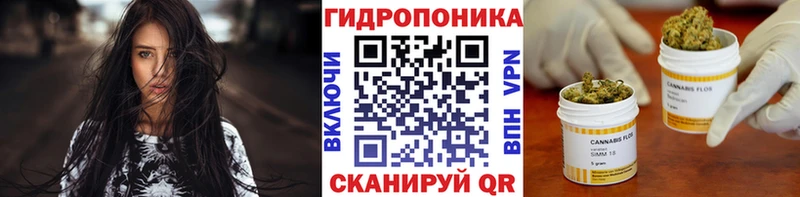 где купить наркоту  Высоковск  Конопля конопля 